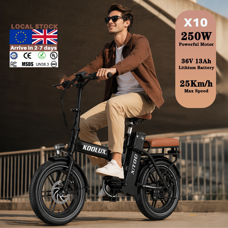 ยุโรป โปแลนด์ X10 จักรยานไฟฟ้า - Mountain Biking Europe บทวิจารณ์และราคา